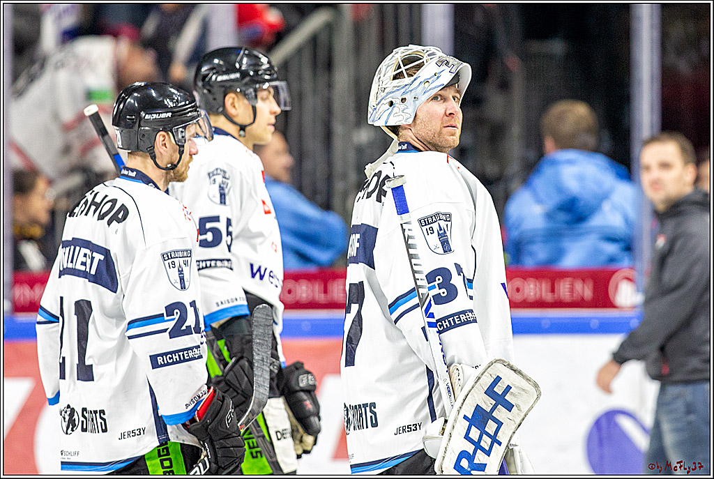 DEL; Koelner Haie - Straubing Tigers; Koeln, 17.11.2019
